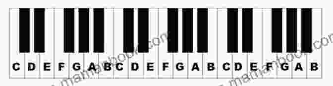 A Close Up Of A Piano Keyboard With Notes Labeled Alfred S Basic Piano Library Graduation 1A: Learn How To Play Piano With This Esteemed Method