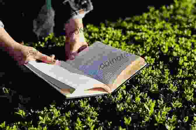 A Person Sitting In A Park With A Book In Their Lap, Looking Up At The Sky. Managing Life Amidst Media: A Collection Of Musings