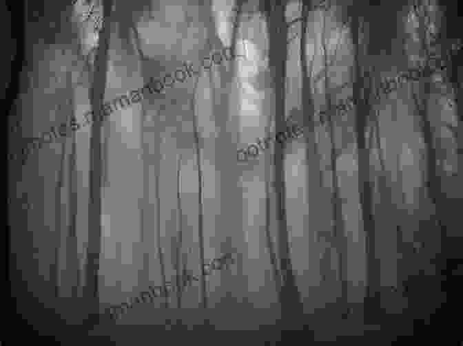 An Eerie Image Of A Forest At Night With Ghostly Apparitions Hovering Among The Trees Night Wanderer The (An Aelf Fen Mystery 7)