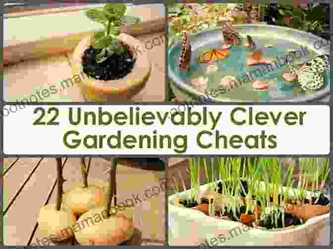 Gardening Cheats, Hacks, Hints, Tips, And Tricks That You Need To Know Right Now Gardening Cheats Hacks Hints Tips And Tricks That You Need To Know Right Now