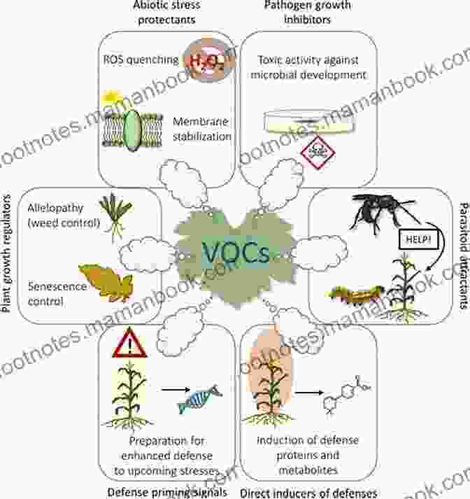 Textile Dyeing Releasing Volatile Organic Compounds (VOCs) And Other Air Pollutants. Environmental Aspects Of Textile Dyeing (Woodhead Publishing In Textiles)