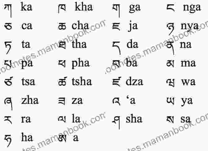 Tibetan Letter Ca TIBETAN ENGLISH First 100 WORDS COLOR Picture (TIBETAN Alphabets And TIBETAN Language Learning Books)