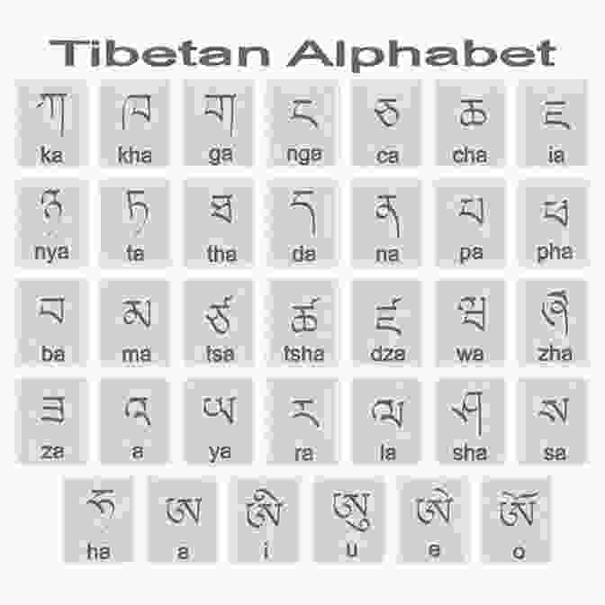 Tibetan Letter Da Nda TIBETAN ENGLISH First 100 WORDS COLOR Picture (TIBETAN Alphabets And TIBETAN Language Learning Books)