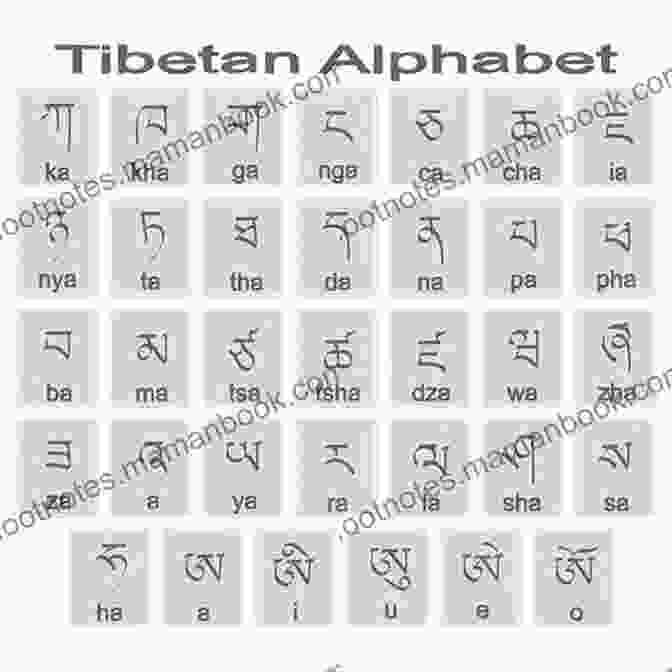 Tibetan Letter De Dei TIBETAN ENGLISH First 100 WORDS COLOR Picture (TIBETAN Alphabets And TIBETAN Language Learning Books)