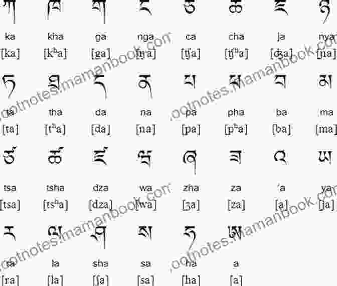 Tibetan Letter La TIBETAN ENGLISH First 100 WORDS COLOR Picture (TIBETAN Alphabets And TIBETAN Language Learning Books)