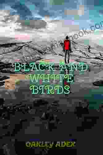 Black and white birds: English